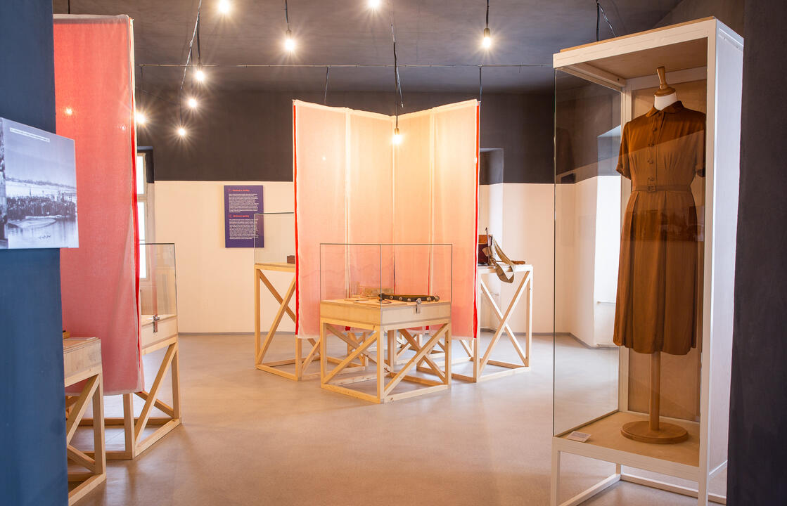 výstava